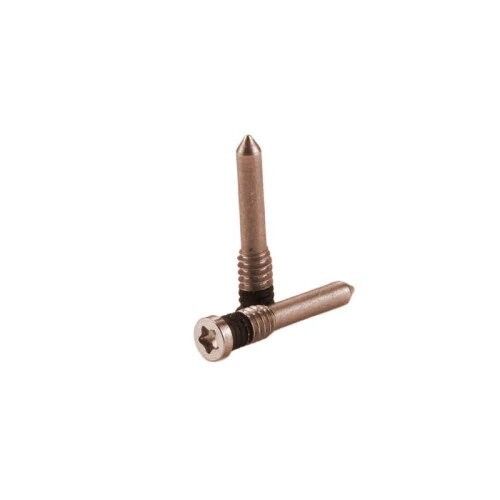 SET 2 TORNILLOS DORADOS IPHONE 13 PRO