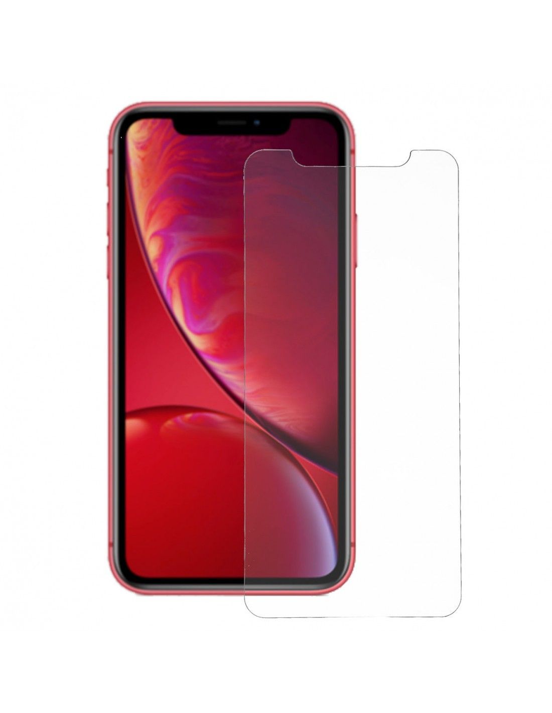 Protector pantalla cristal templado iPhone XR /11
